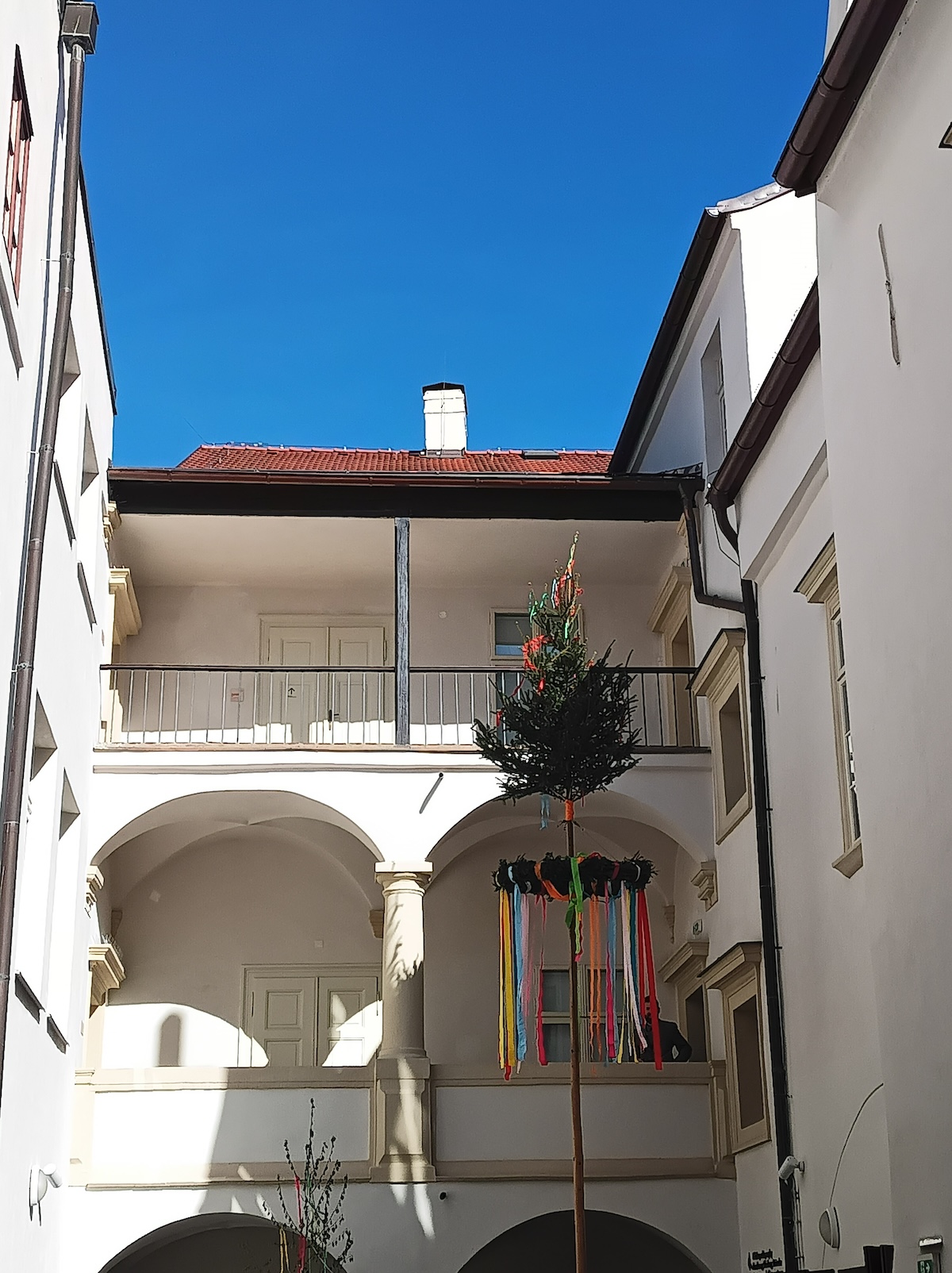 I v Národopisném muzeu v Plzni se na 30.4. stavěla májka (německy Maibaum)