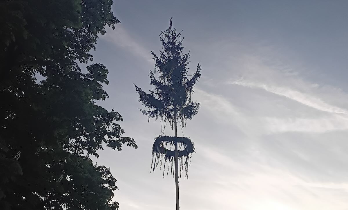 Májský strom/ Maibaum je typickým symbolem přechodu noci z 30.4. na 1. máje